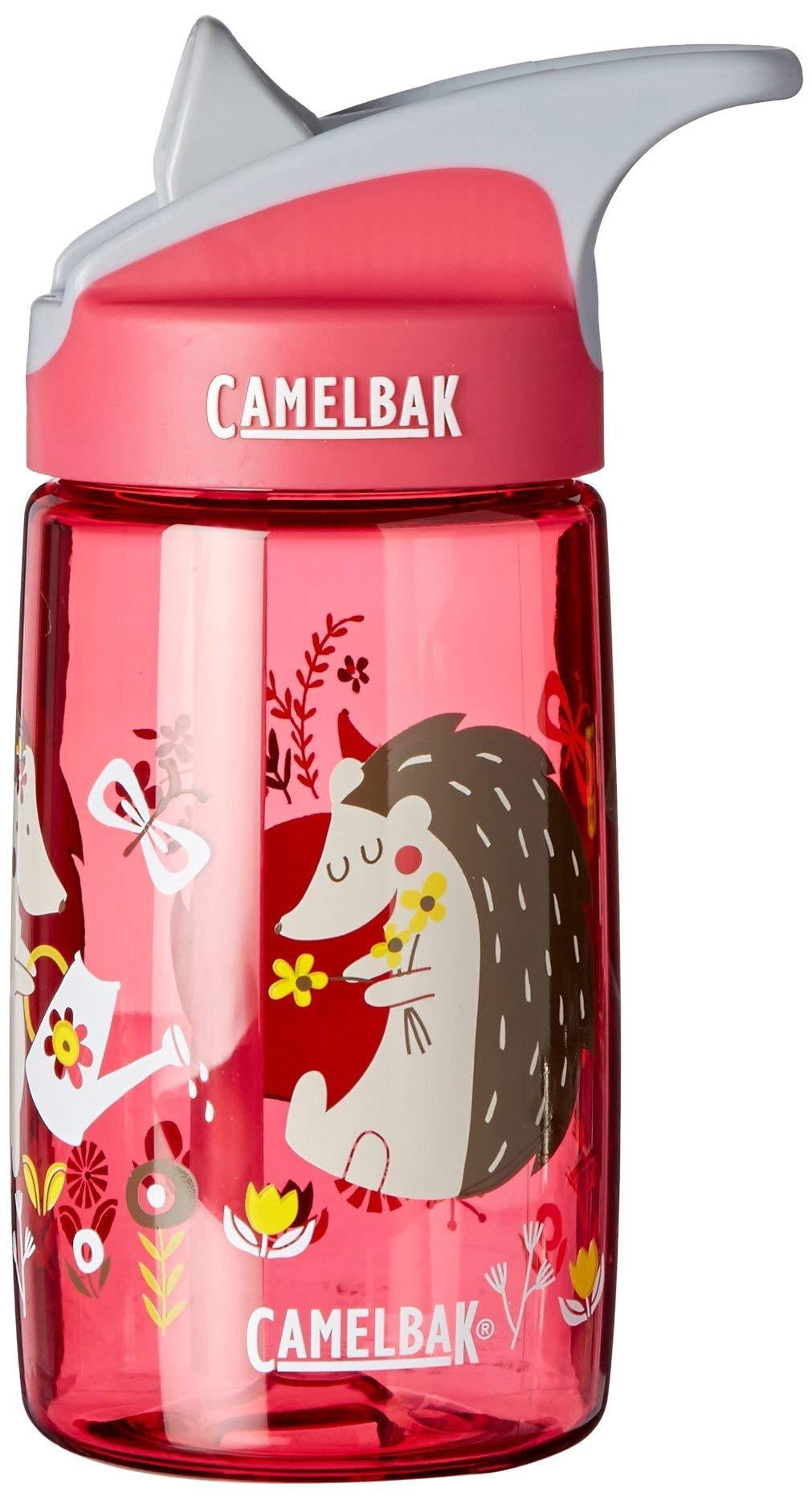 CamelBak Eddy Kids Water Bottle, Airplane Bandits.4 L | FB8R