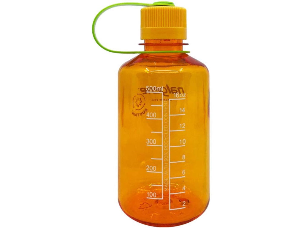 Nalgene Sustain 16 oz. Narrow Mouth Water Bottle - Cornflower Blue | 7G3R