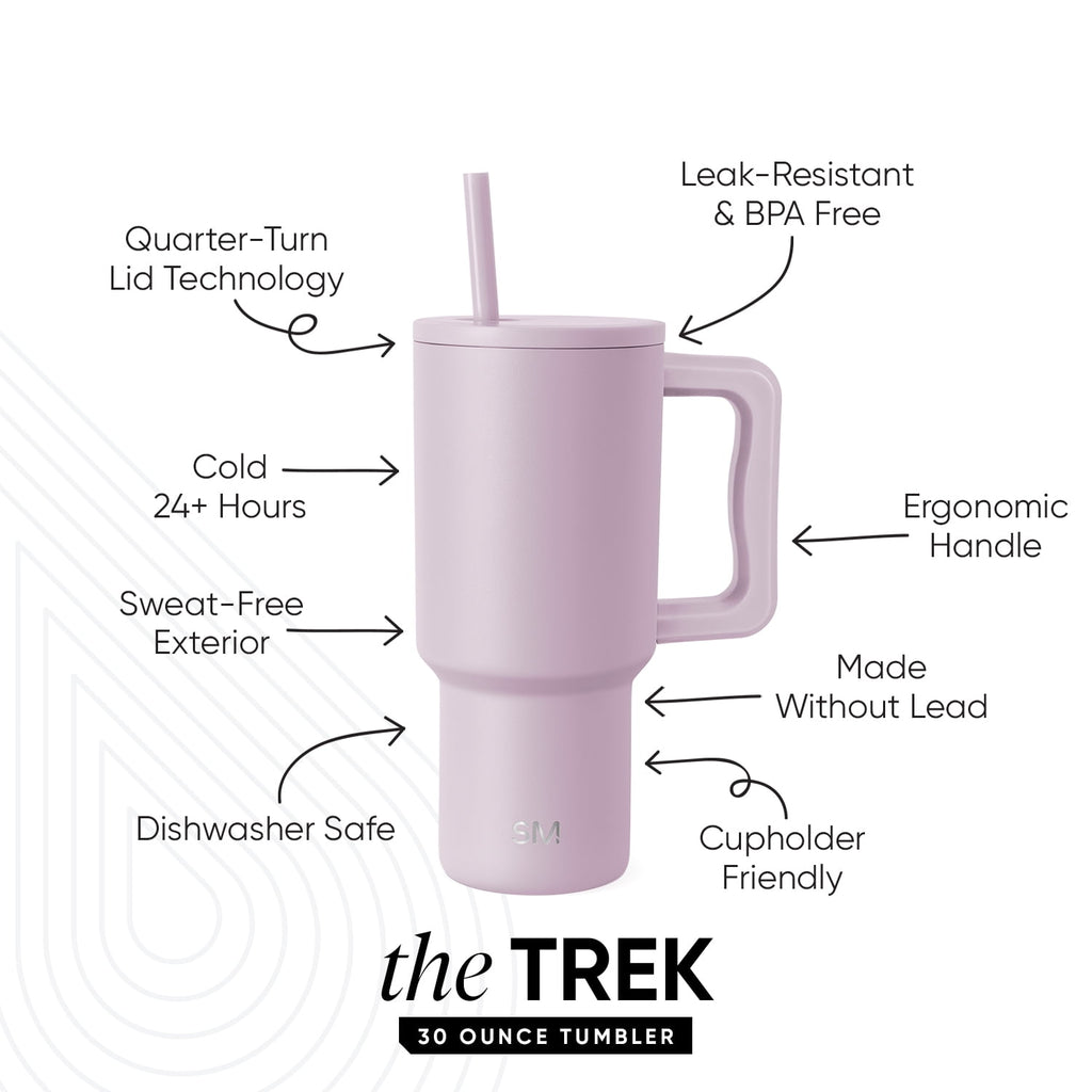 Simple Modern 30 fl oz Insulated Stainless Steel Trek Tumbler with Straw Lid | Seaglass Sage and Cream Checkmate | P40Y