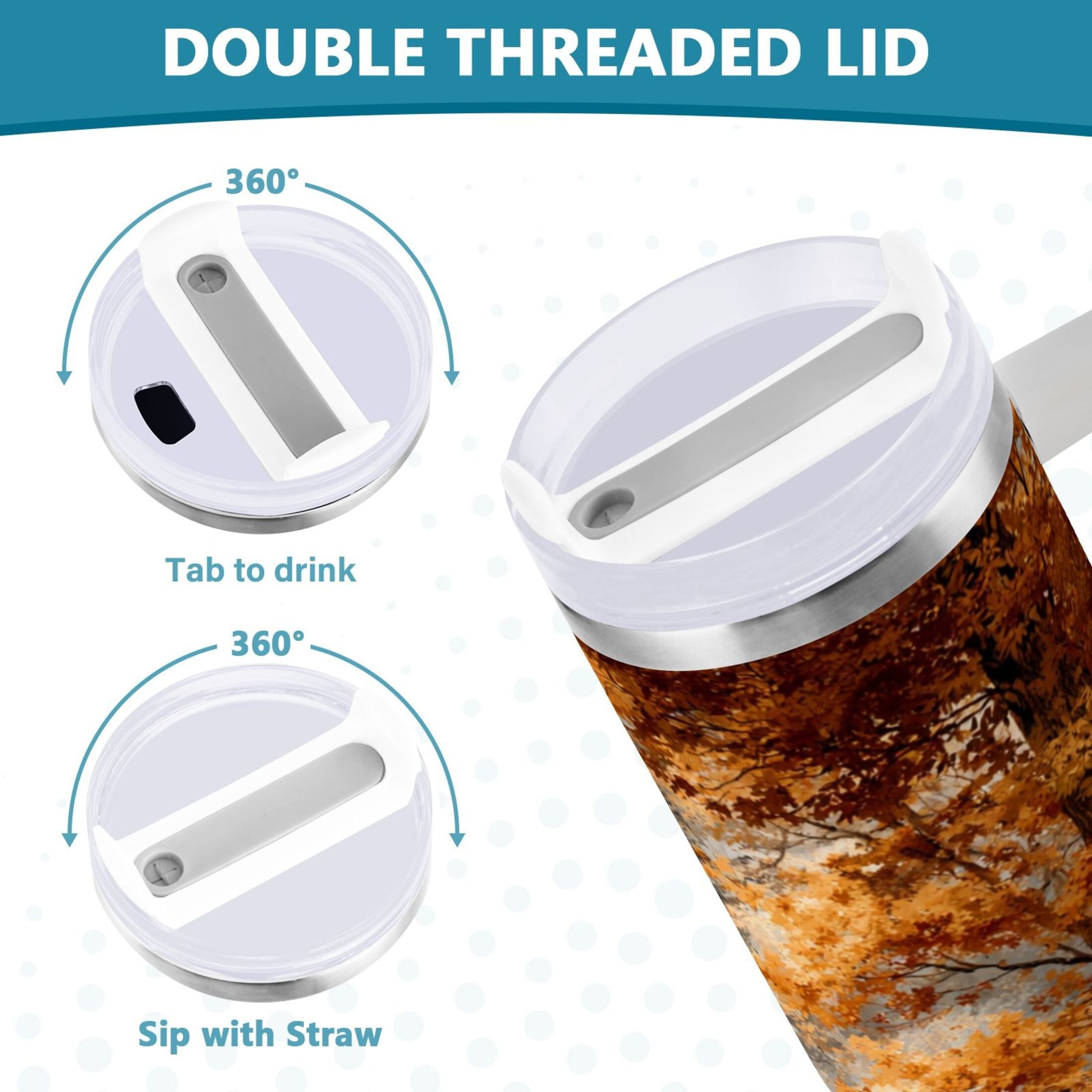 30 oz Insulated Stainless Steel Tumbler Double Wall Stainless Steel Tumbler with 2-Way Drinking Beautiful Autumn Forest | 7R0M