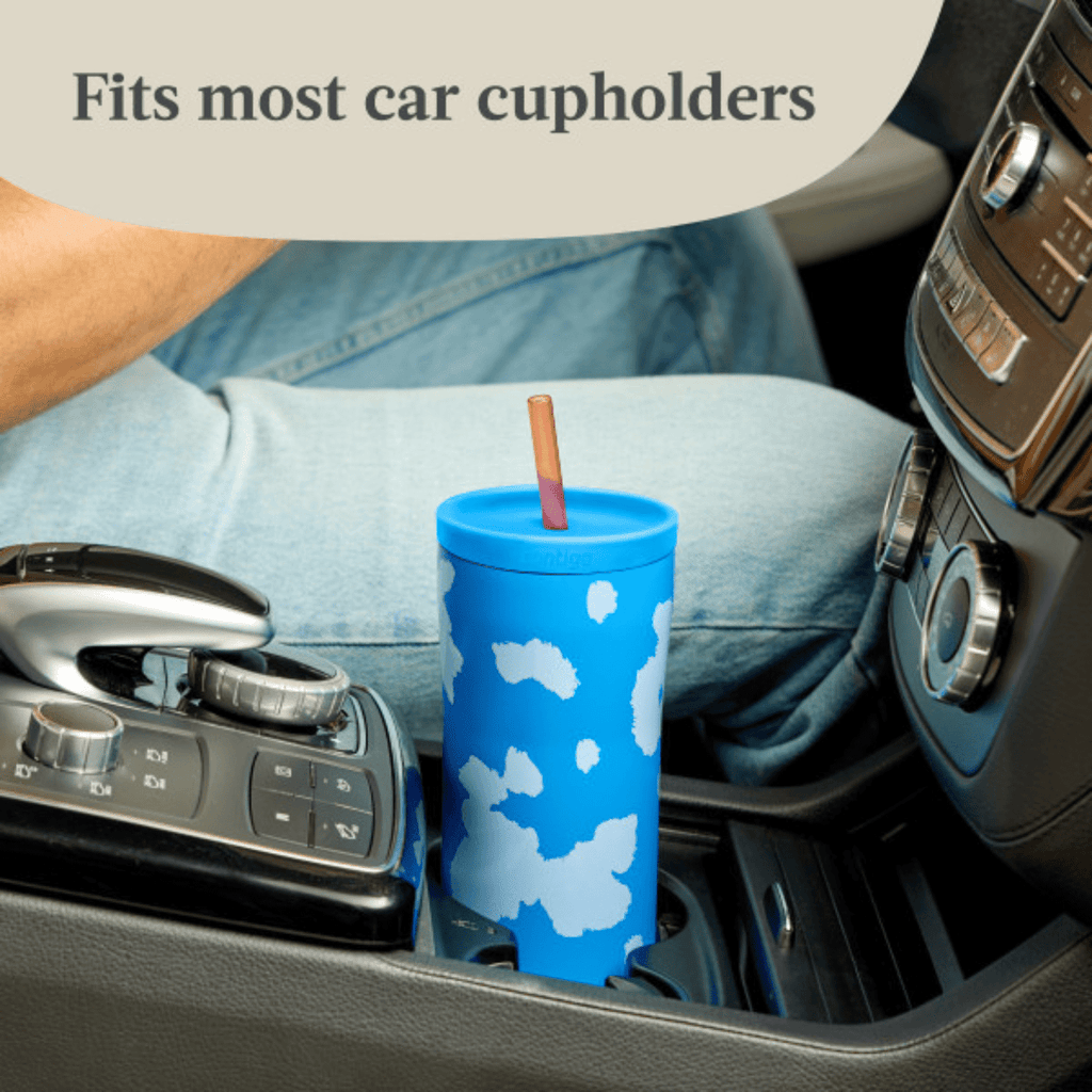 Contigo x Ally Love Streeterville 2.0 Stainless Steel Tumbler with Straw, 24 oz, Stellar Jay | 13E8