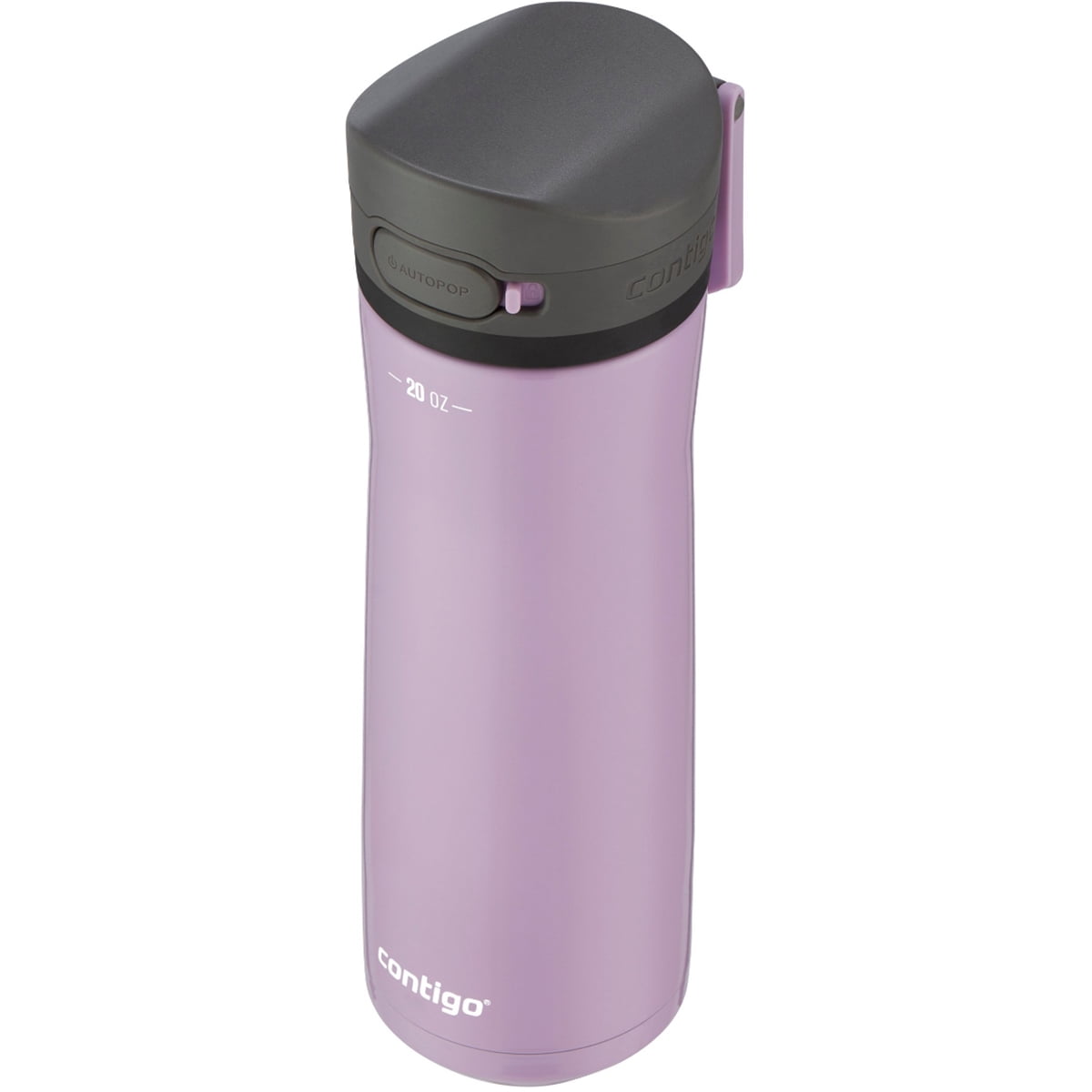 Contigo 20 oz. Jackson Chill 2.0 Water Bottle - Stainless Steel w/Licorice | 2ZGJ