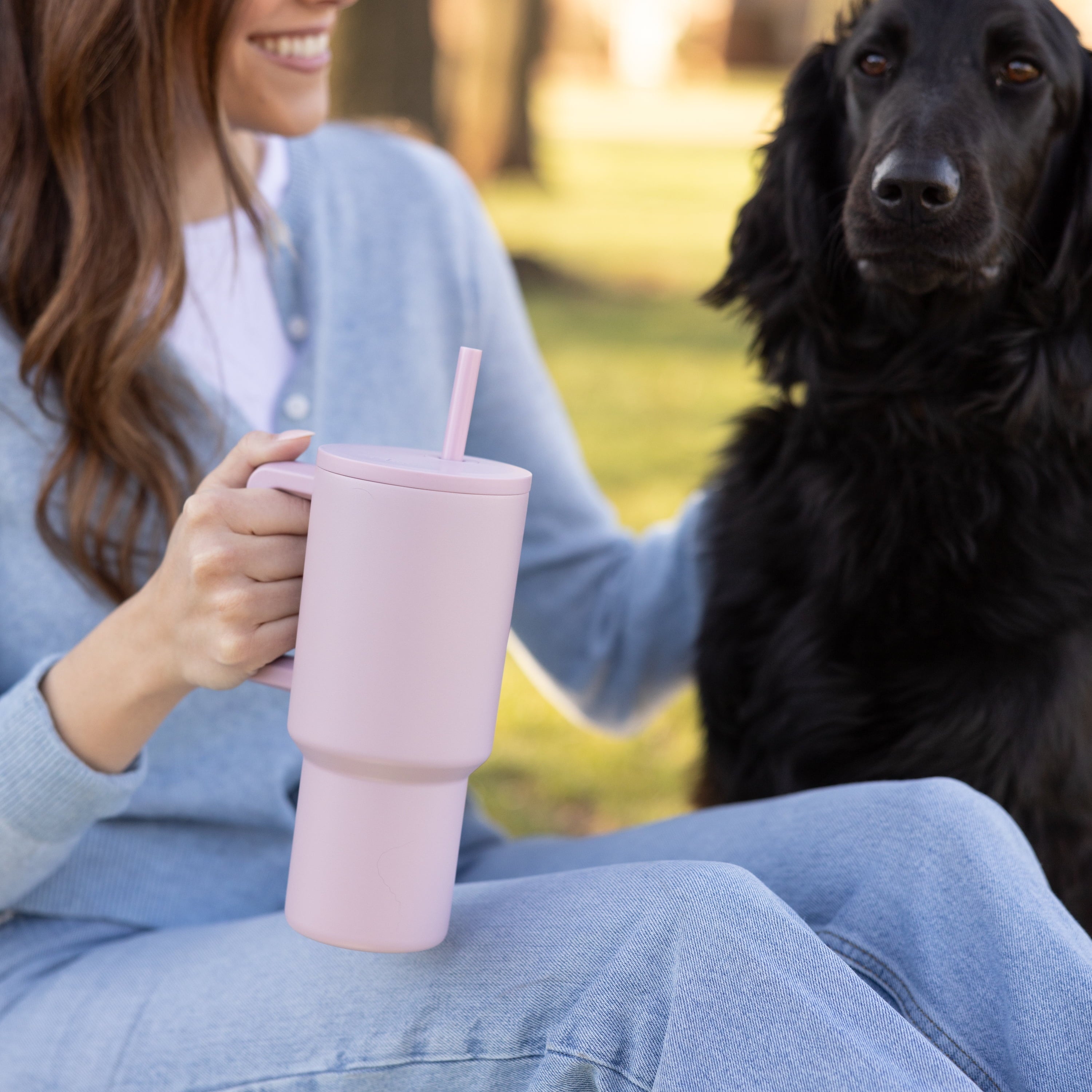 Simple Modern 30 fl oz Insulated Stainless Steel Trek Tumbler with Straw Lid | Seaglass Sage and Cream Checkmate | P40Y