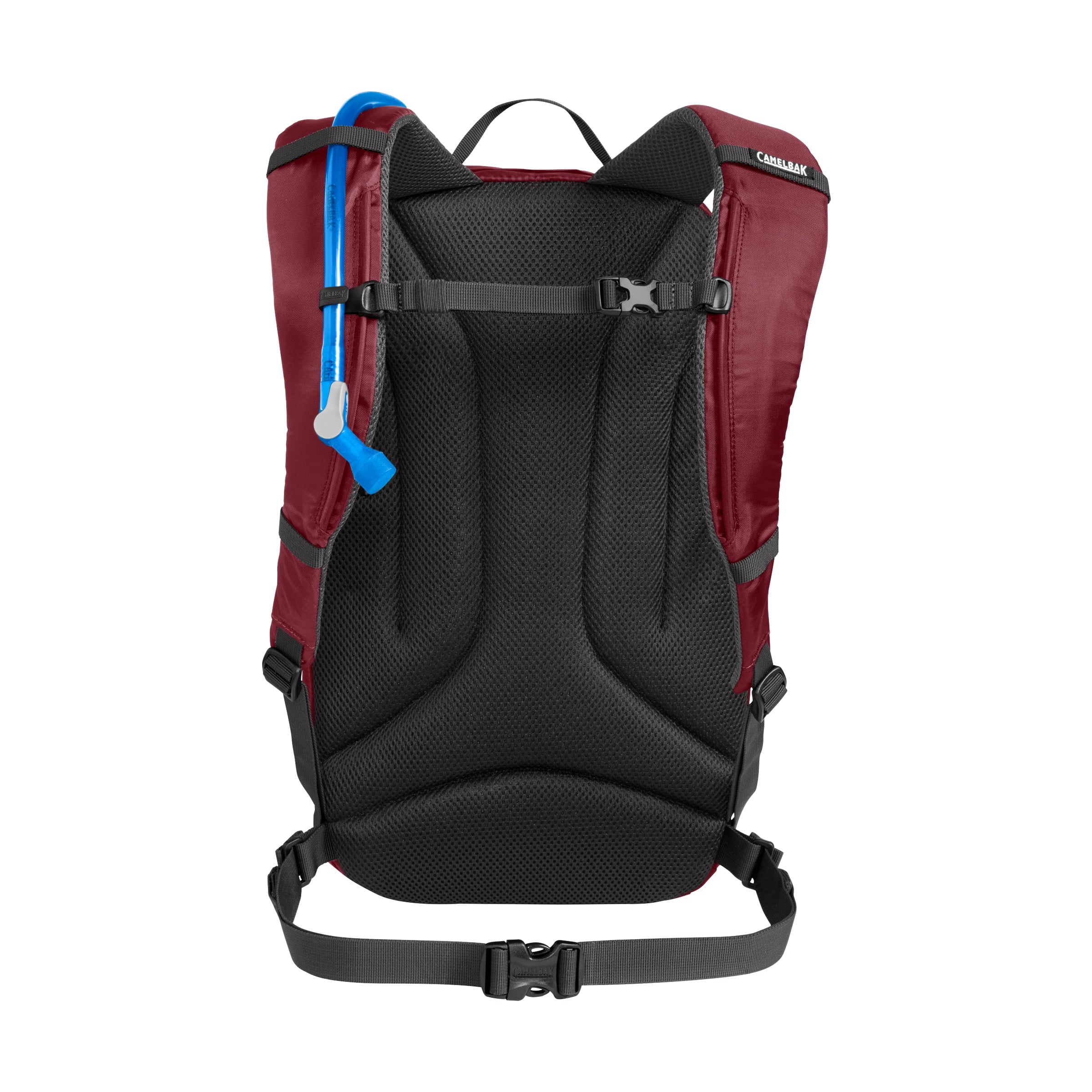 Camelbak Cloud Walker 18 85oz, Cabernet | BSQJ