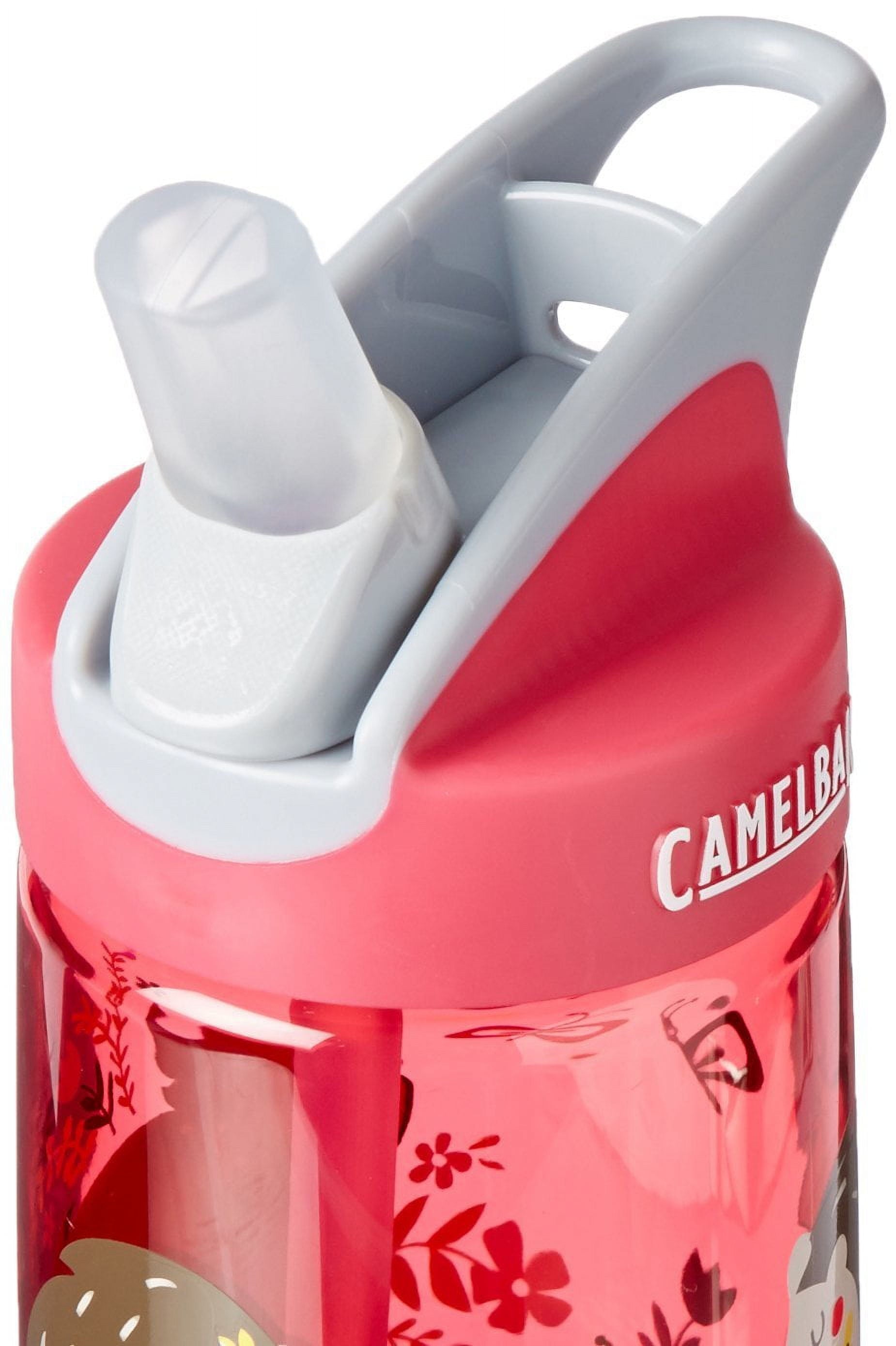 CamelBak Eddy Kids BPA Free Water Bottle Airplane Bandits Bottle Only | 3FQD