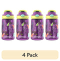 (4 pack) Contigo Kids Water Bottle with Redesigned AUTOSPOUT Straw, 14 oz, Grape Forest Haven | DXIS