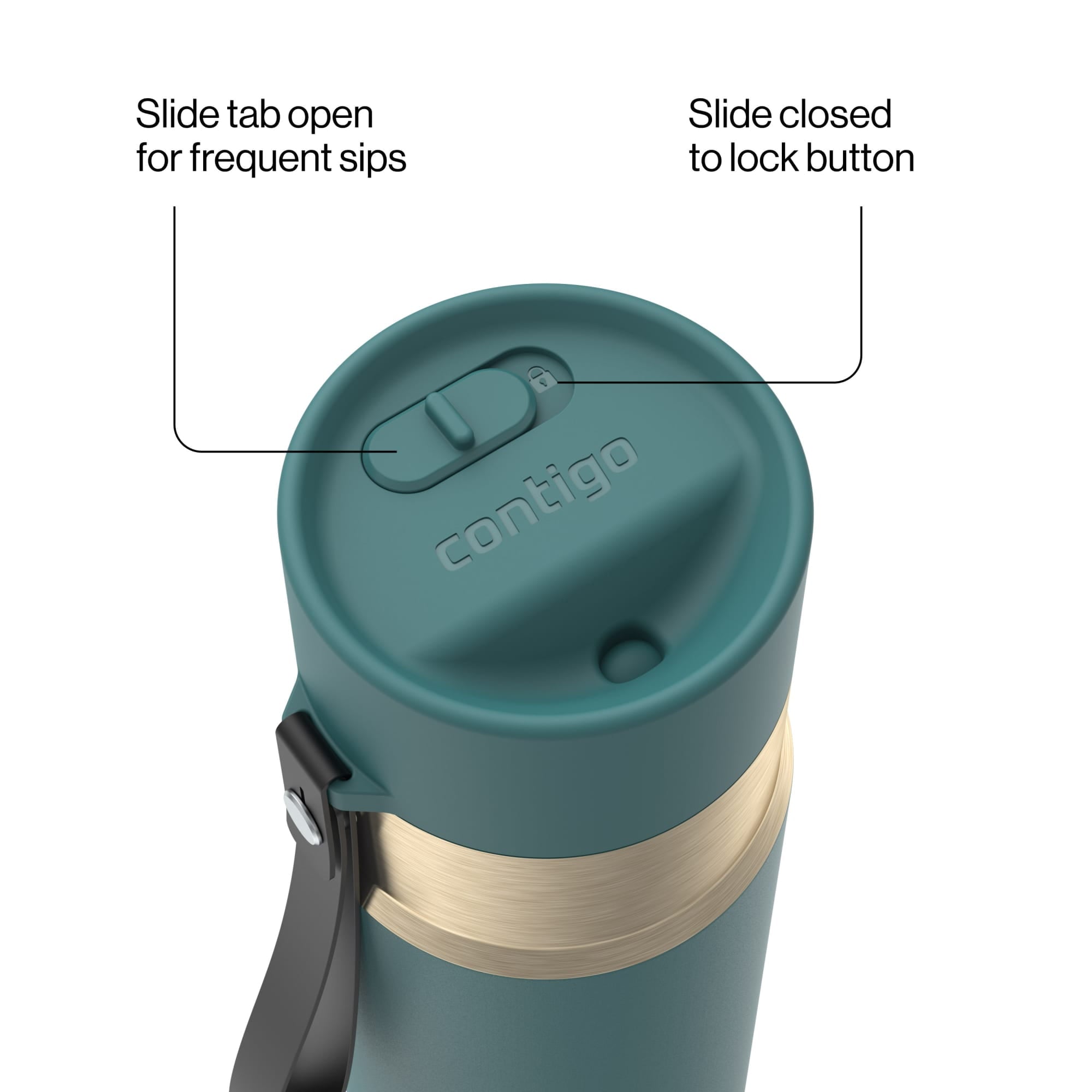 Contigo AutoSeal Leakproof Stainless Steel Reusable Water Bottle Tumbler with Carrying Strap, Cream/Champagne, 24 oz | YNTK
