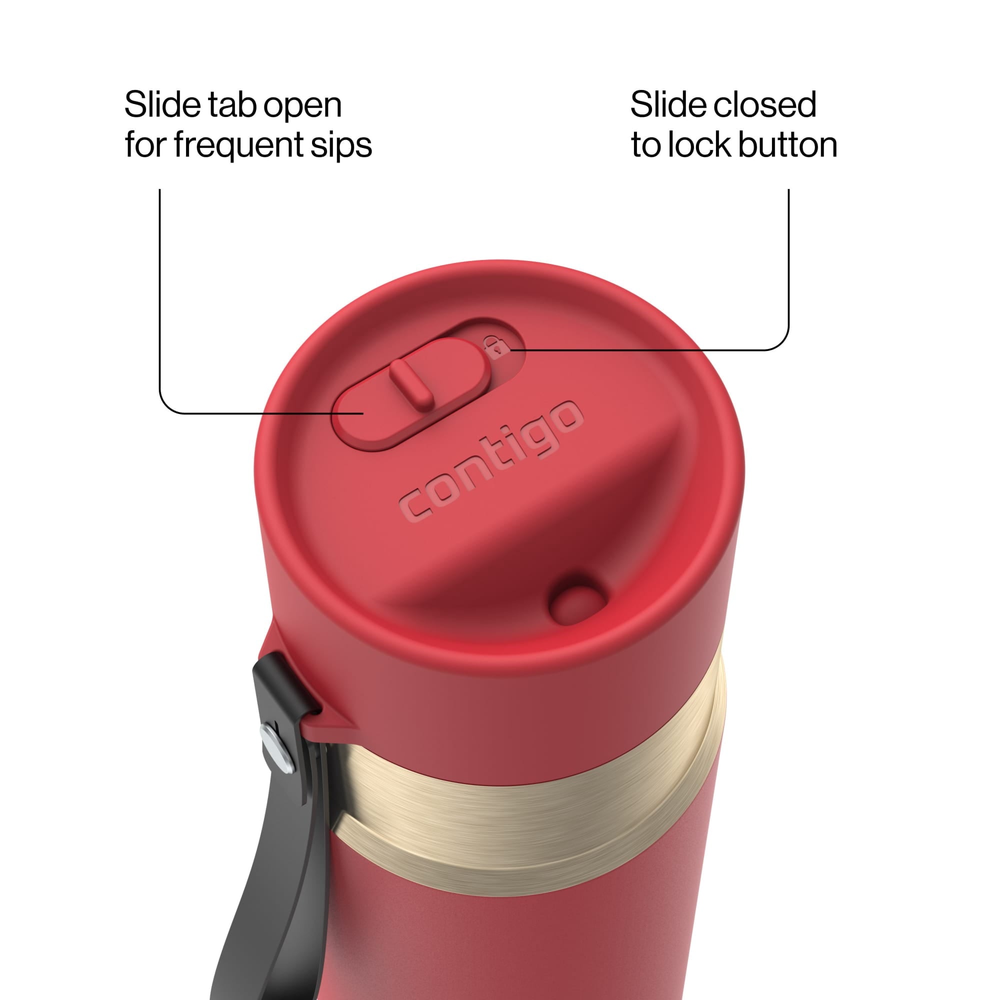 Contigo AutoSeal Leakproof Stainless Steel Reusable Water Bottle Tumbler with Carrying Strap, Cream/Champagne, 24 oz | YNTK