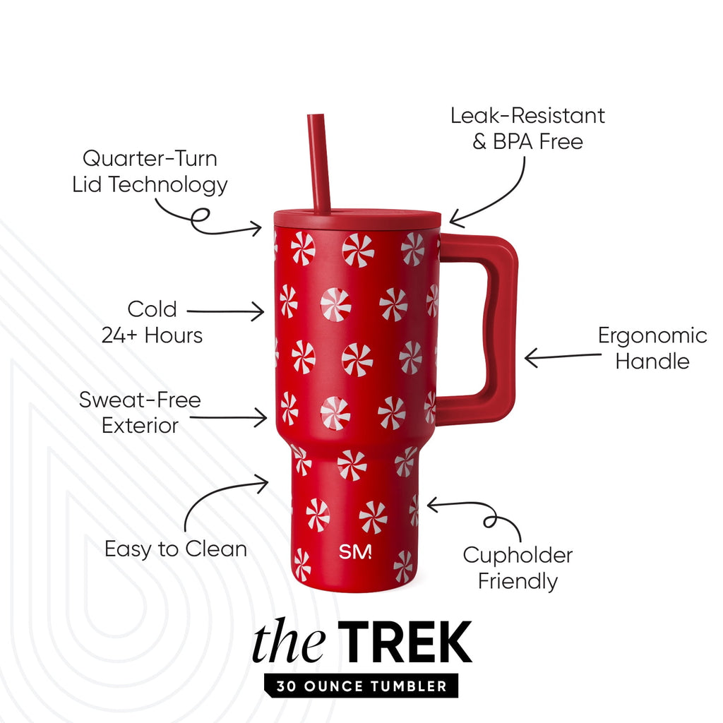 Simple Modern 30 fl oz Insulated Stainless Steel Trek Tumbler with Straw Lid | Seaglass Sage and Cream Checkmate | P40Y