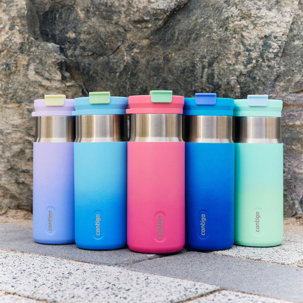 Contigo DualSip 16 oz Compact Leakproof Insulated Water Bottle with 2-Way Lid | 3BB1