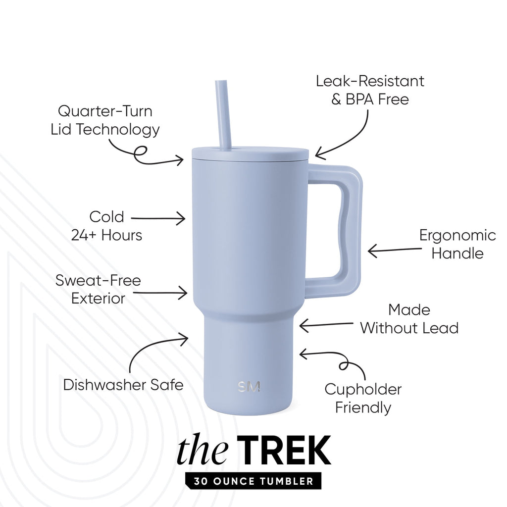 Simple Modern 30 fl oz Insulated Stainless Steel Trek Tumbler with Straw Lid | Seaglass Sage and Cream Checkmate | P40Y