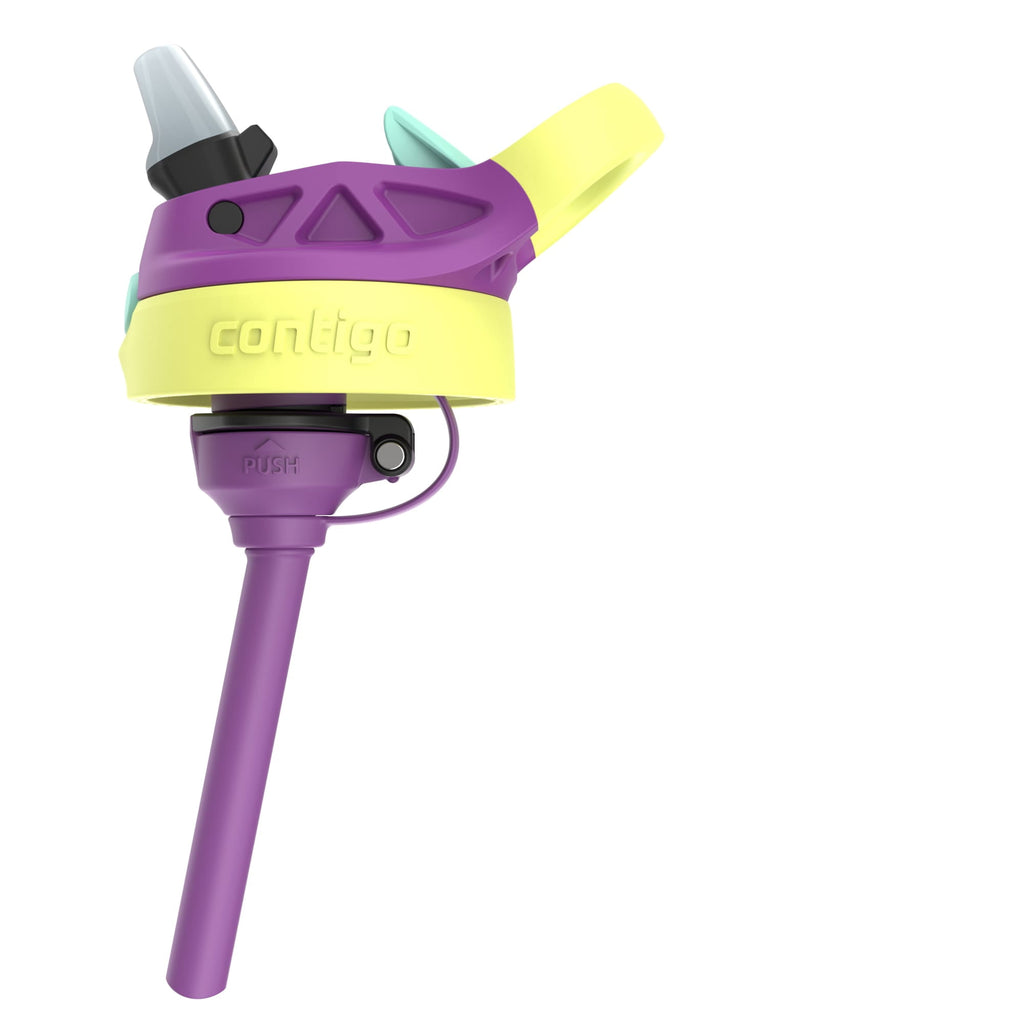 Contigo Kids Water Bottle with Redesigned AUTOSPOUT Straw, 14 oz, Grape Forest Haven | ZUNZ