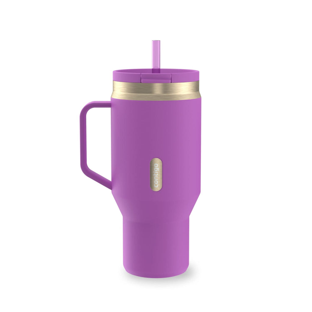 Contigo SnapSeal Leakproof Stainless Steel Reusable Water Bottle Tumbler with Side Handle, Black/Bronze, 30 oz | B9EJ