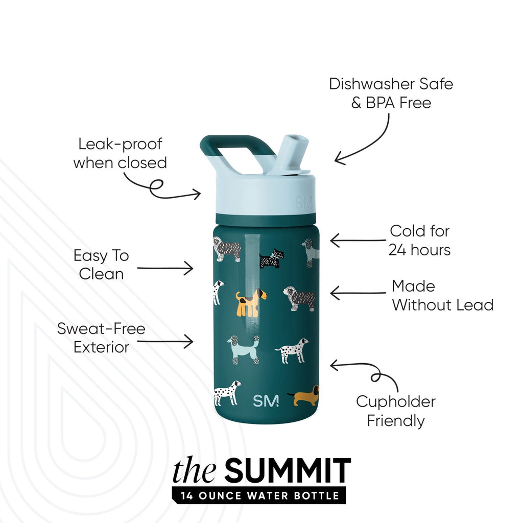 Simple Modern 14oz Summit Water Bottle with Straw Lid | Confetti | 1ZCR