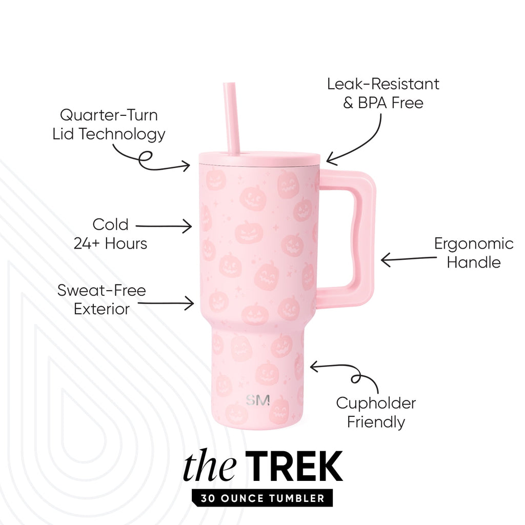 Simple Modern 30 fl oz Insulated Stainless Steel Trek Tumbler with Straw Lid | Seaglass Sage and Cream Checkmate | P40Y