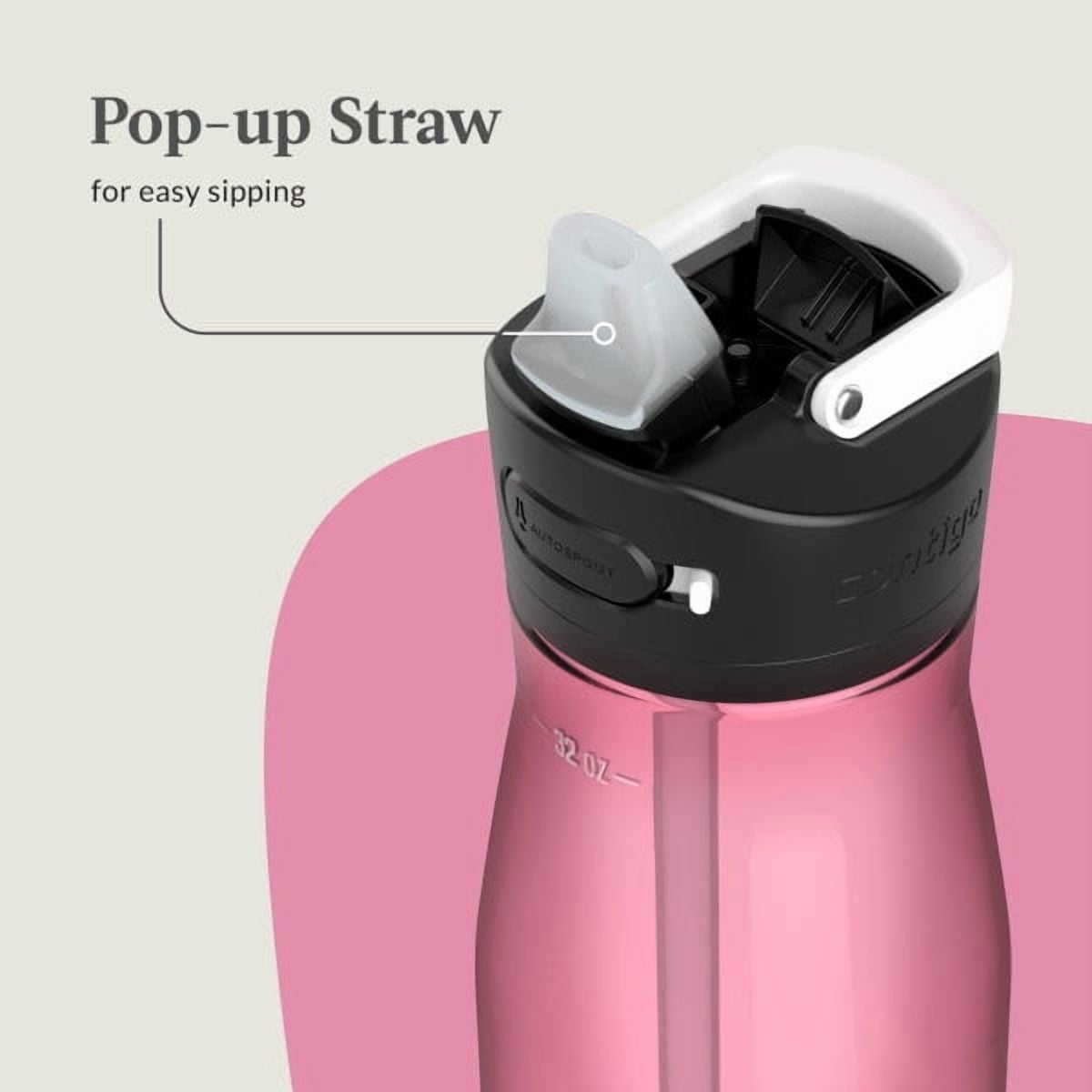 Contigo Ashland 2.0 32 oz Licorice BPA Free Water Bottle | 6TXB