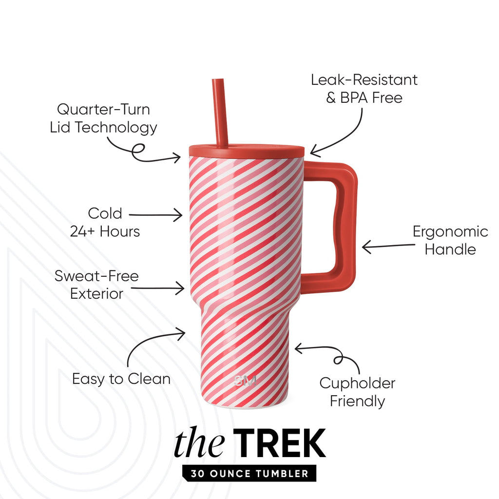 Simple Modern 30 fl oz Insulated Stainless Steel Trek Tumbler with Straw Lid | Seaglass Sage and Cream Checkmate | P40Y