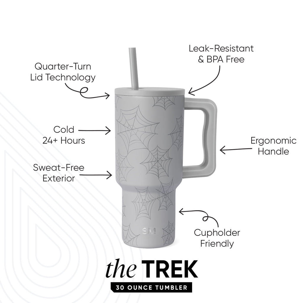 Simple Modern 30 fl oz Insulated Stainless Steel Trek Tumbler with Straw Lid | Seaglass Sage and Cream Checkmate | P40Y